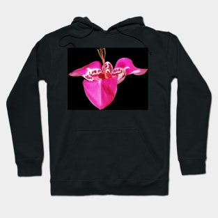 Tigridia Pavonia Hoodie